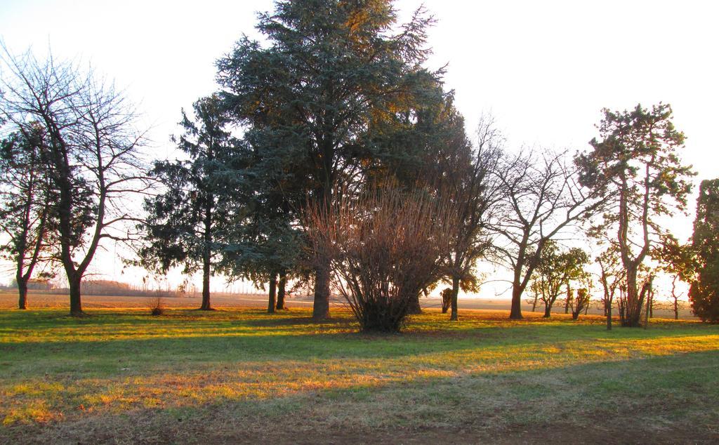 La Centuria Societa Agricola Casa Vacanze Terzo d' Aquileia