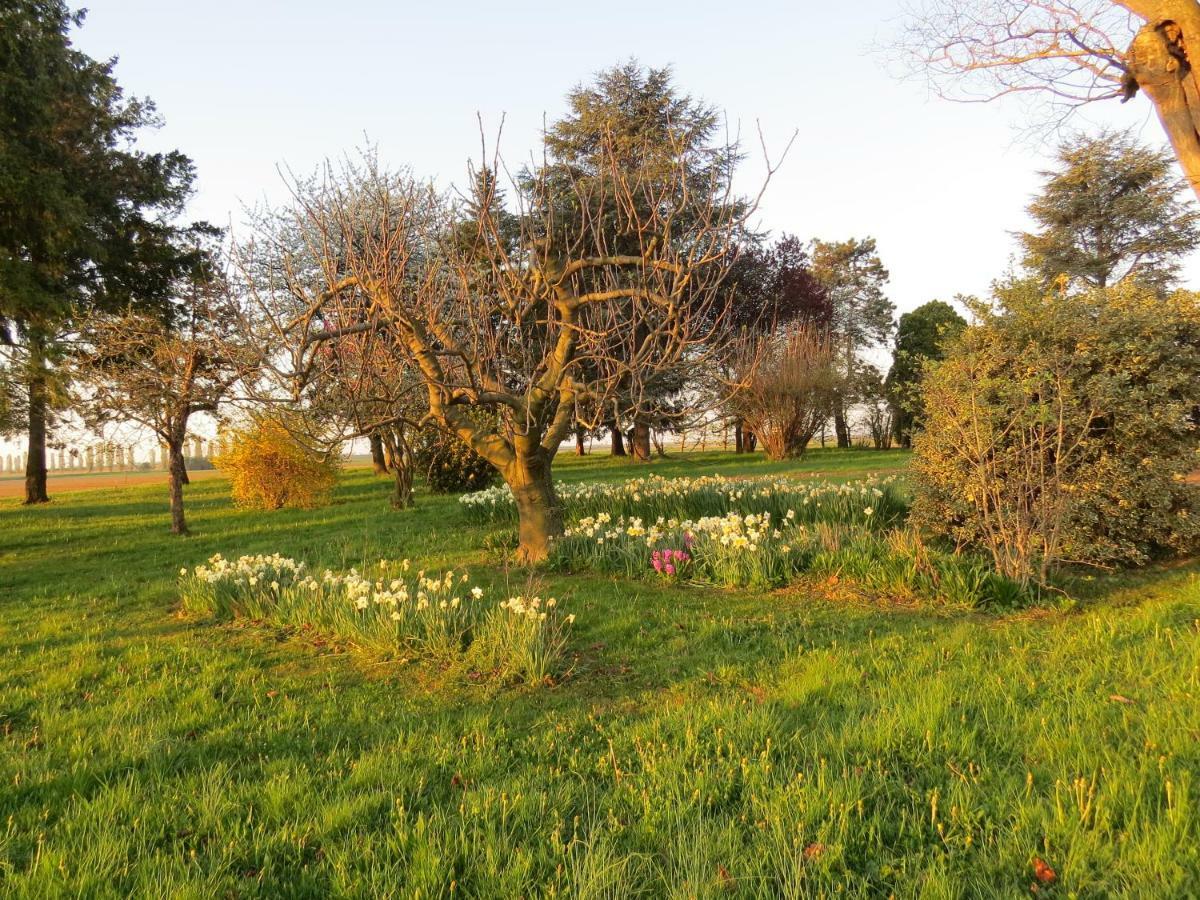 Holiday home La Centuria Societa Agricola Casa Vacanze Terzo d' Aquileia