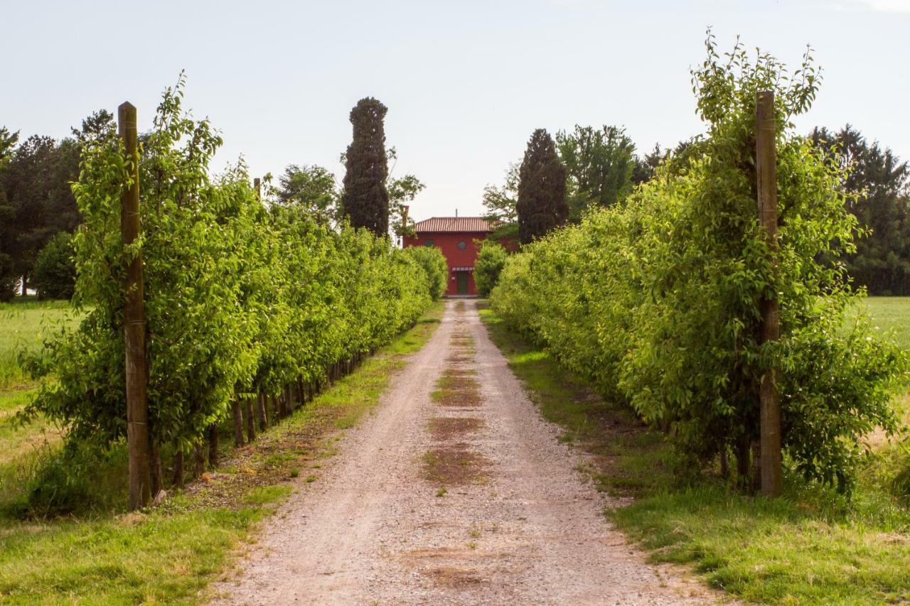 La Centuria Societa Agricola Casa Vacanze